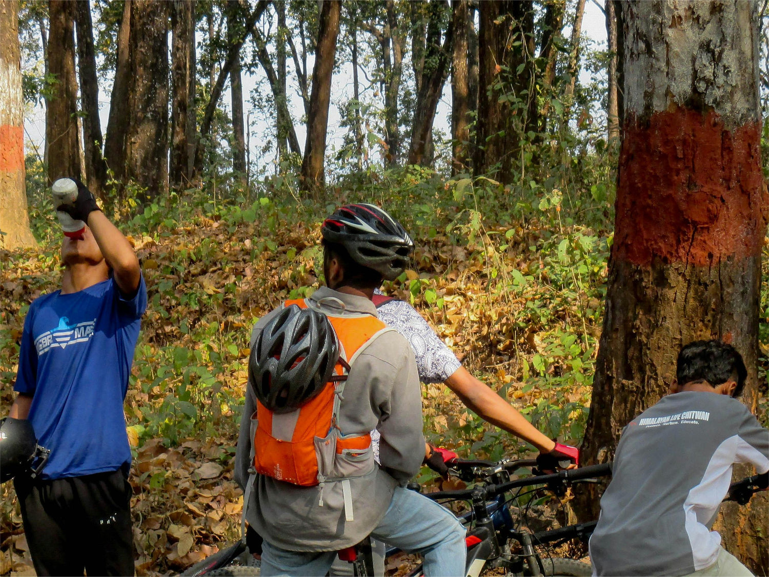 Employees Riding Firsthand, Providing Insights for New Product Experience